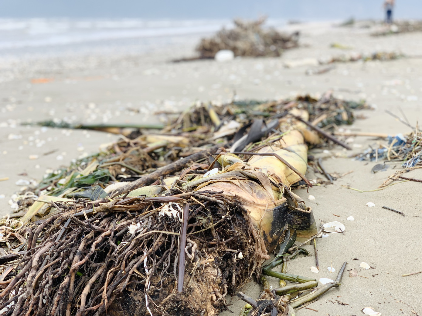 Sau mưa lũ, rác chất đống dọc bờ biển Hà Tĩnh ảnh 3