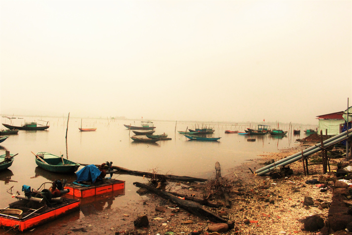 Nông dân lao đao vì ngao chết hàng loạt, nay lại ế ẩm do dịch ảnh 1