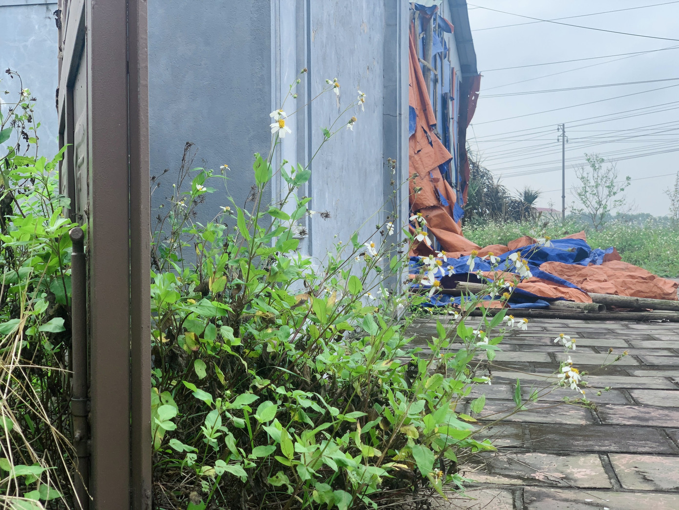 Công trình Văn Miếu gần 80 tỉ ở Hà Tĩnh xây xong không có đường vào ảnh 11