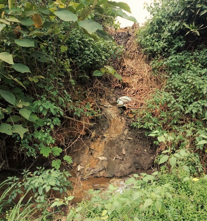 Nơm nớp lo chất thải từ trại lợn 'bức tử' dòng nước đầu nguồn ảnh 1