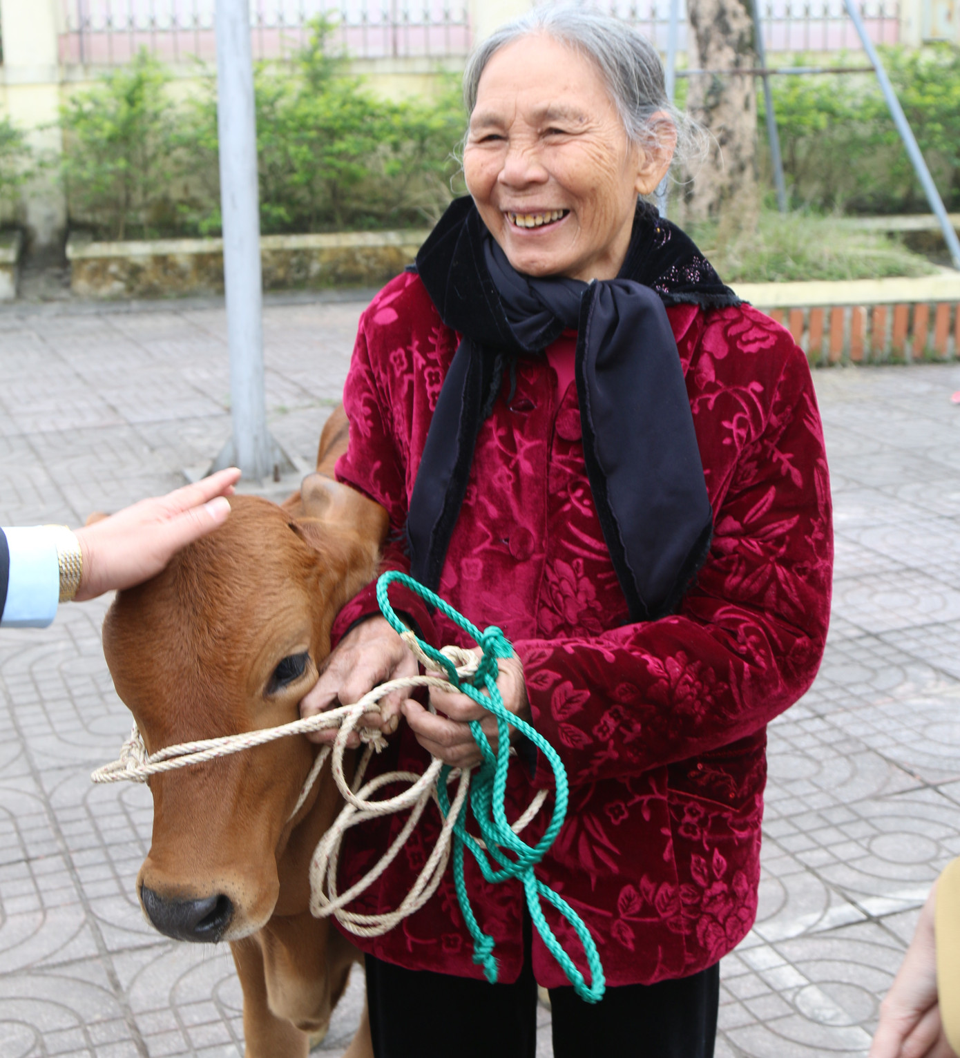 Tập đoàn Phúc Sơn, Báo Tiền Phong trao bò giống hỗ trợ bà con vùng lũ Hà Tĩnh ảnh 12
