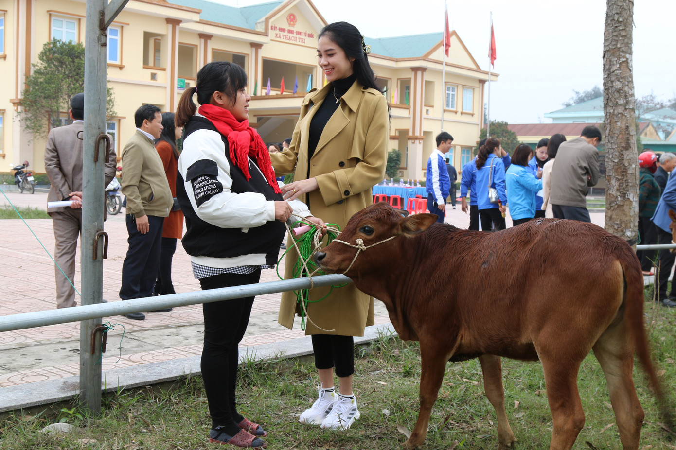 Tập đoàn Phúc Sơn, Báo Tiền Phong trao bò giống hỗ trợ bà con vùng lũ Hà Tĩnh ảnh 15