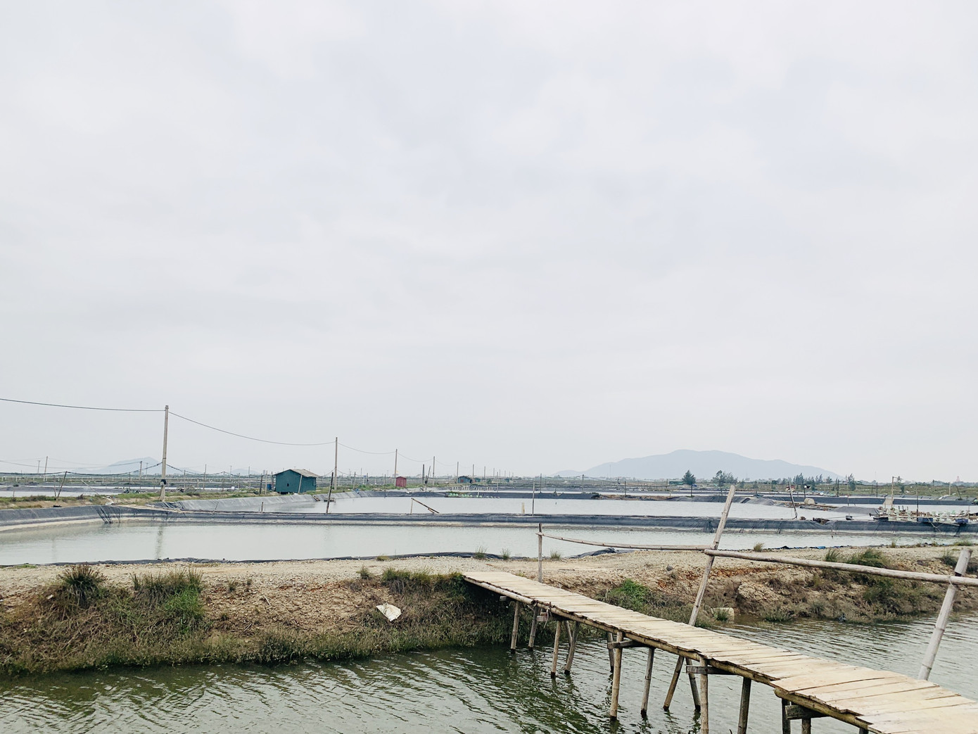 Tôm, cá bị lũ cuốn sạch, người nuôi Hà Tĩnh lâm cảnh trắng tay ảnh 5