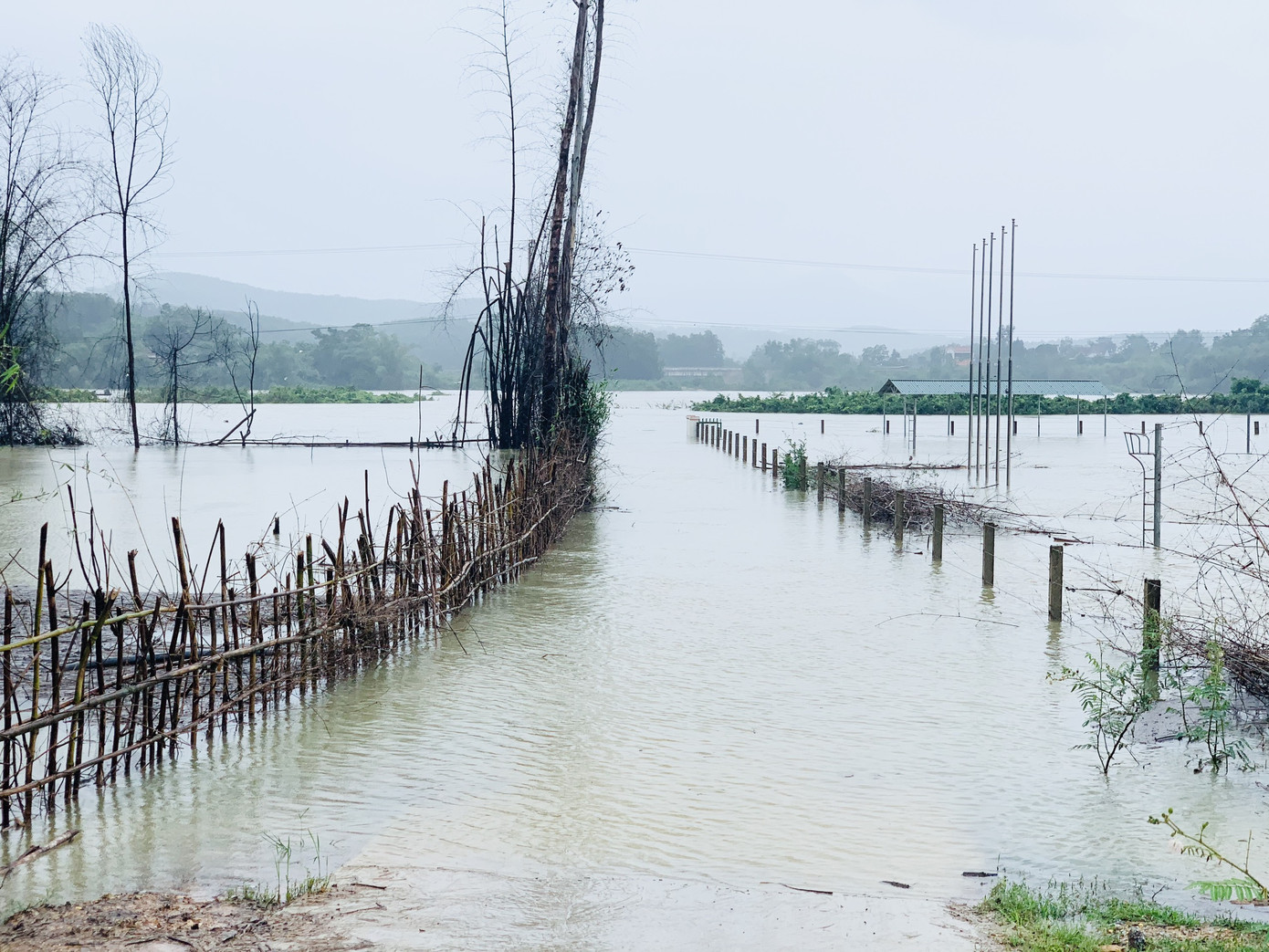 Nhiều tuyến đường ngập sâu, giao thông bị chia cắt ở Hà Tĩnh ảnh 7