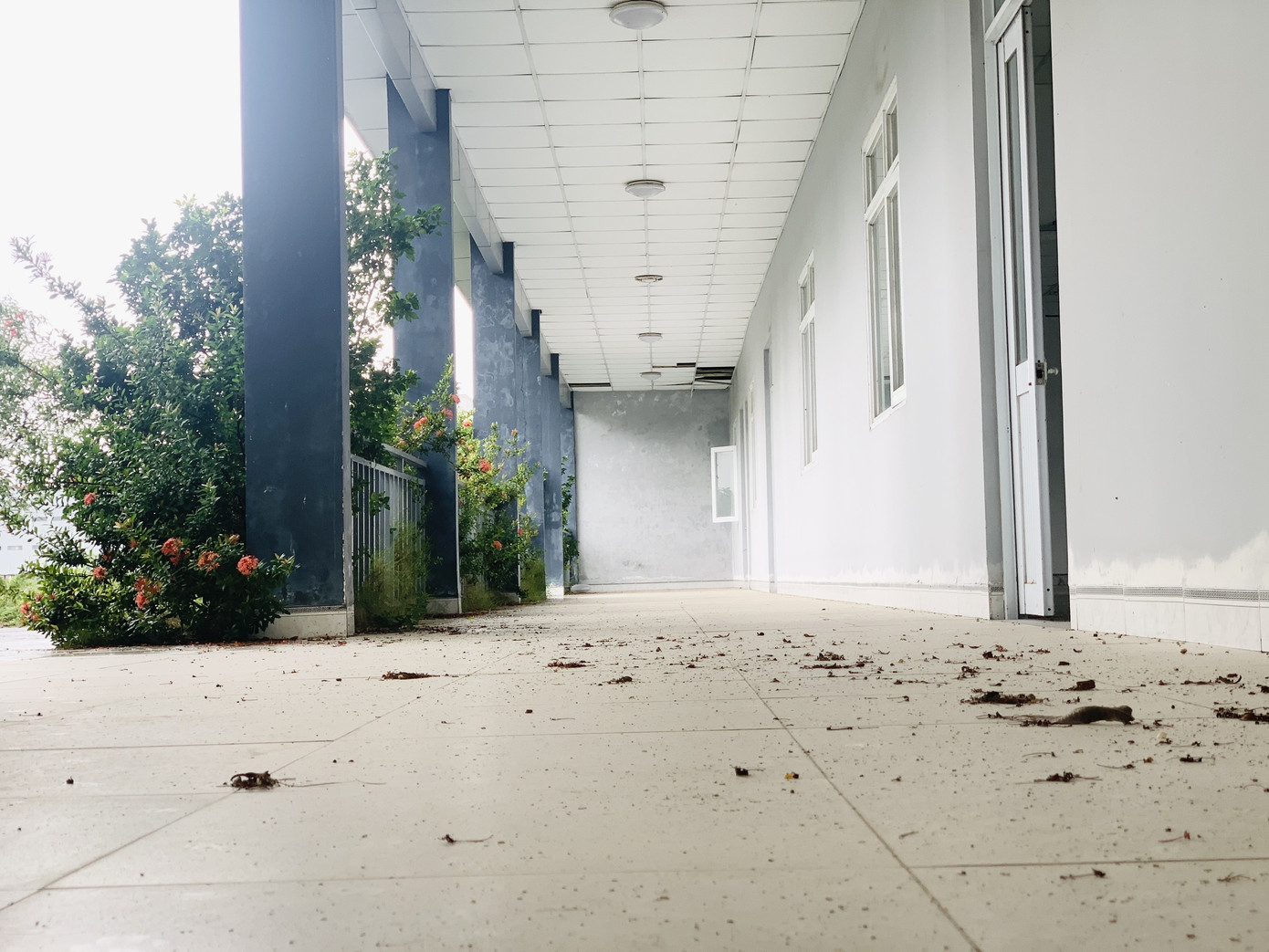 Toàn cảnh dự án bệnh viện 'trăm tỷ' làm 10 năm không xong ảnh 12