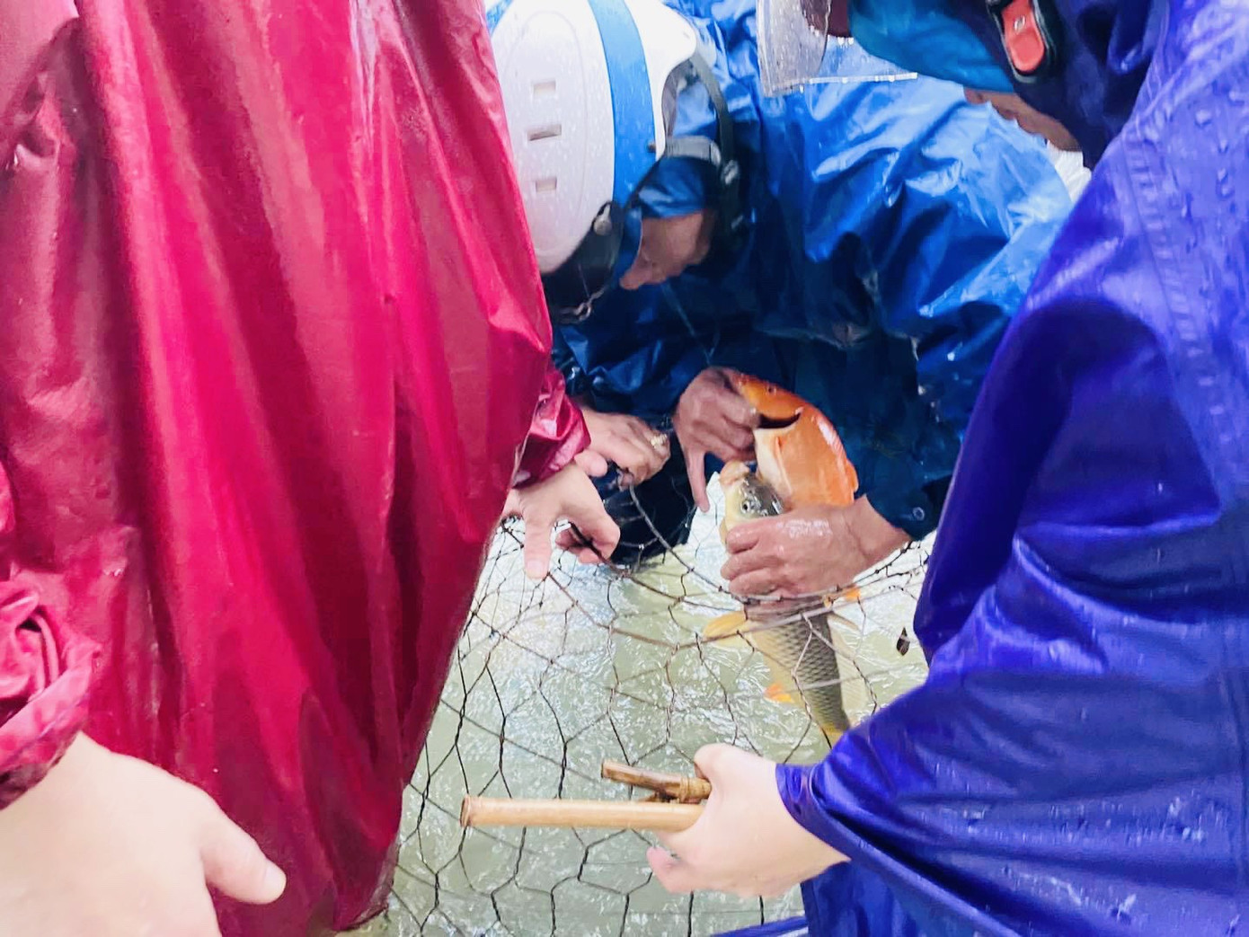 Nước lũ dâng cao, người dân Hà Tĩnh mang nơm ra đường bắt cá ảnh 3