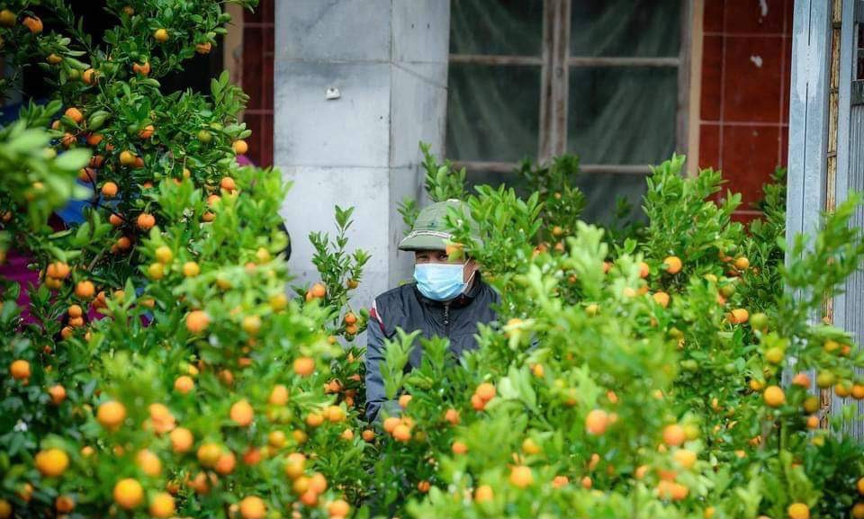 Chợ quê chiều cuối năm vẫn tấp nập, cây cảnh và hoa lại ‘ế ẩm’ ảnh 11