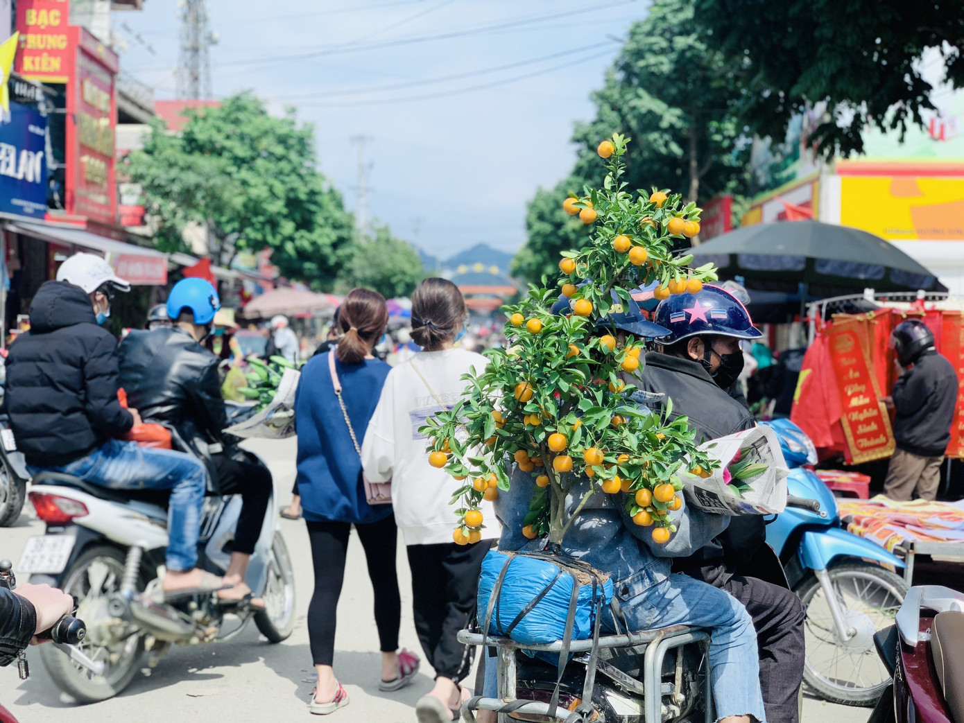 Chợ quê chiều cuối năm vẫn tấp nập, cây cảnh và hoa lại ‘ế ẩm’ ảnh 7