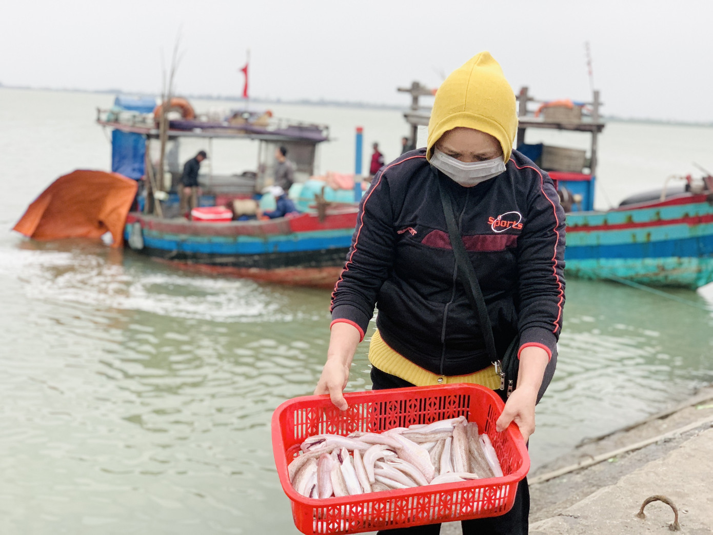 Ngư dân 'hốt bạc' nhờ lộc biển ngày cuối năm ảnh 10