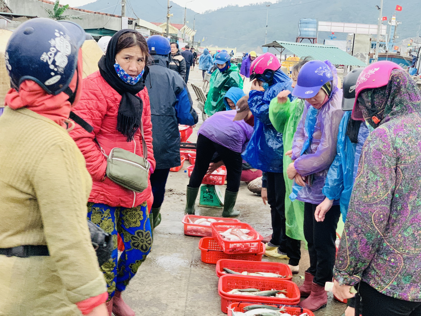 Ngư dân 'hốt bạc' nhờ lộc biển ngày cuối năm ảnh 9