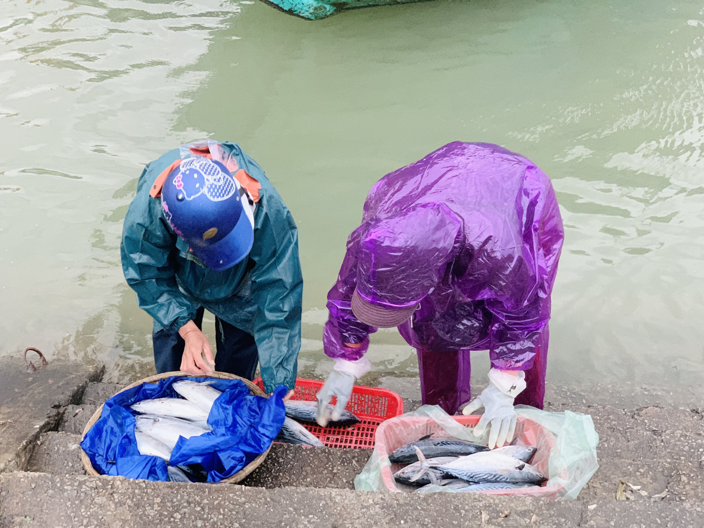 Ngư dân 'hốt bạc' nhờ lộc biển ngày cuối năm ảnh 17