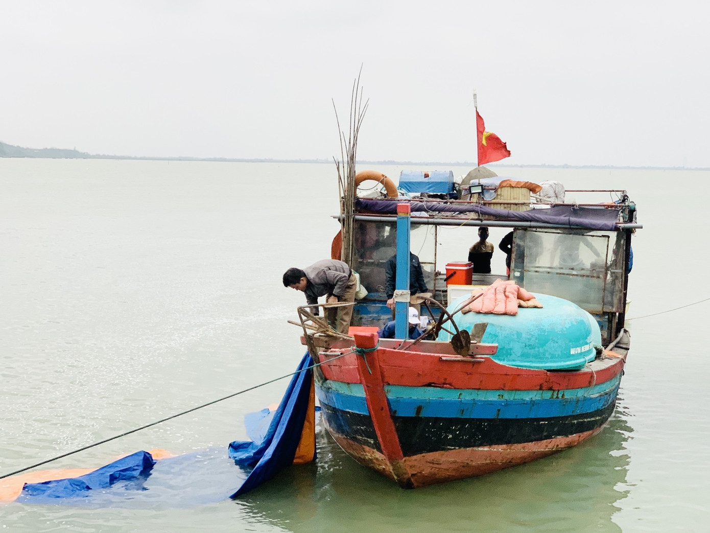 Ngư dân 'hốt bạc' nhờ lộc biển ngày cuối năm ảnh 4