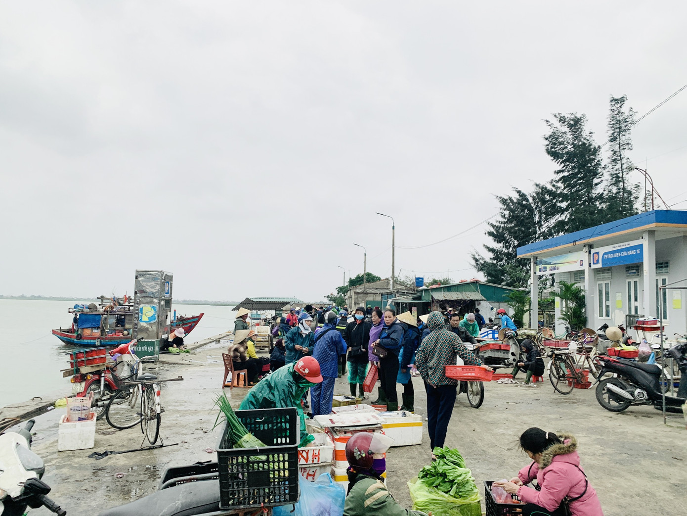 Ngư dân 'hốt bạc' nhờ lộc biển ngày cuối năm ảnh 2