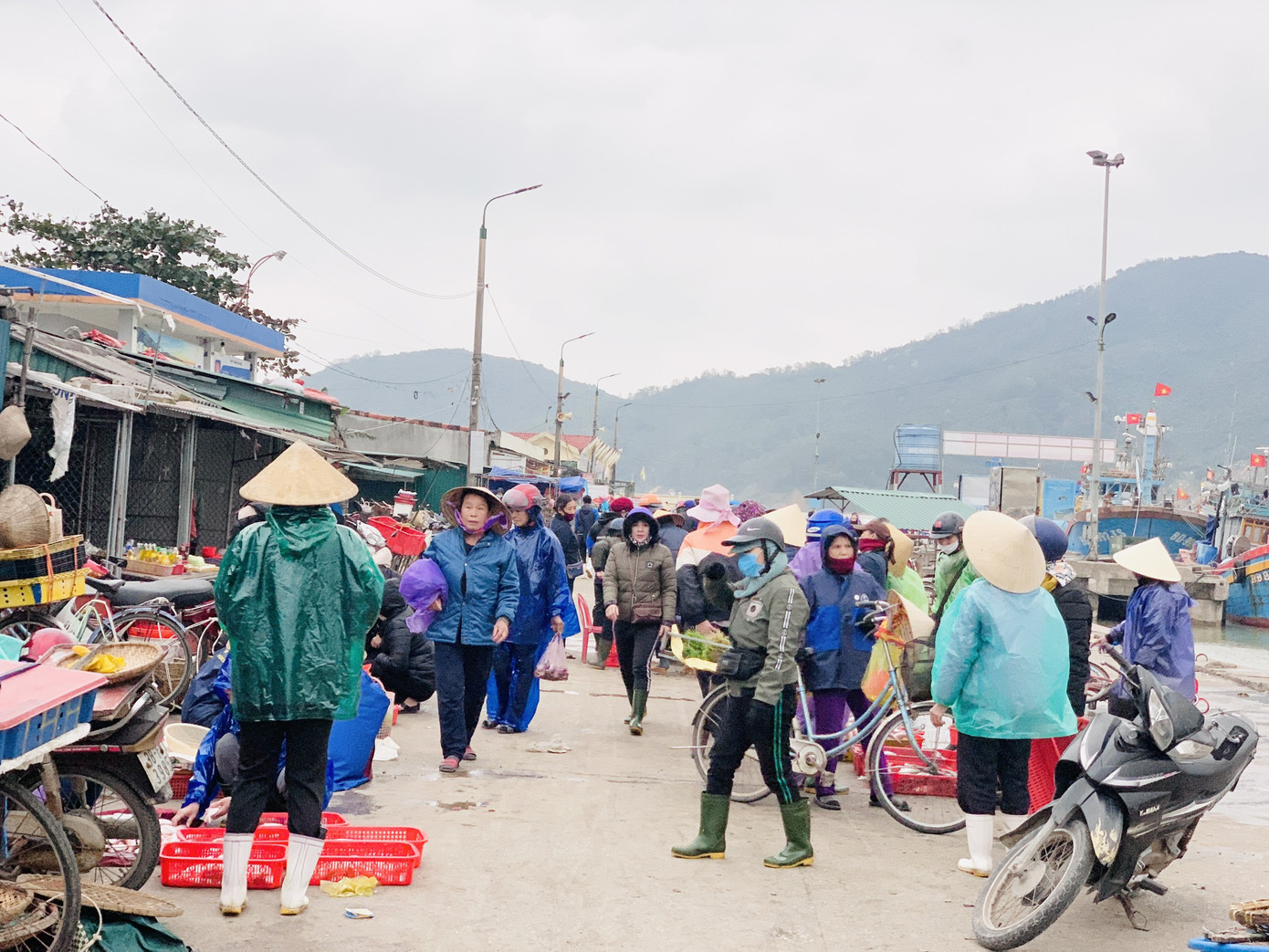Ngư dân 'hốt bạc' nhờ lộc biển ngày cuối năm ảnh 3