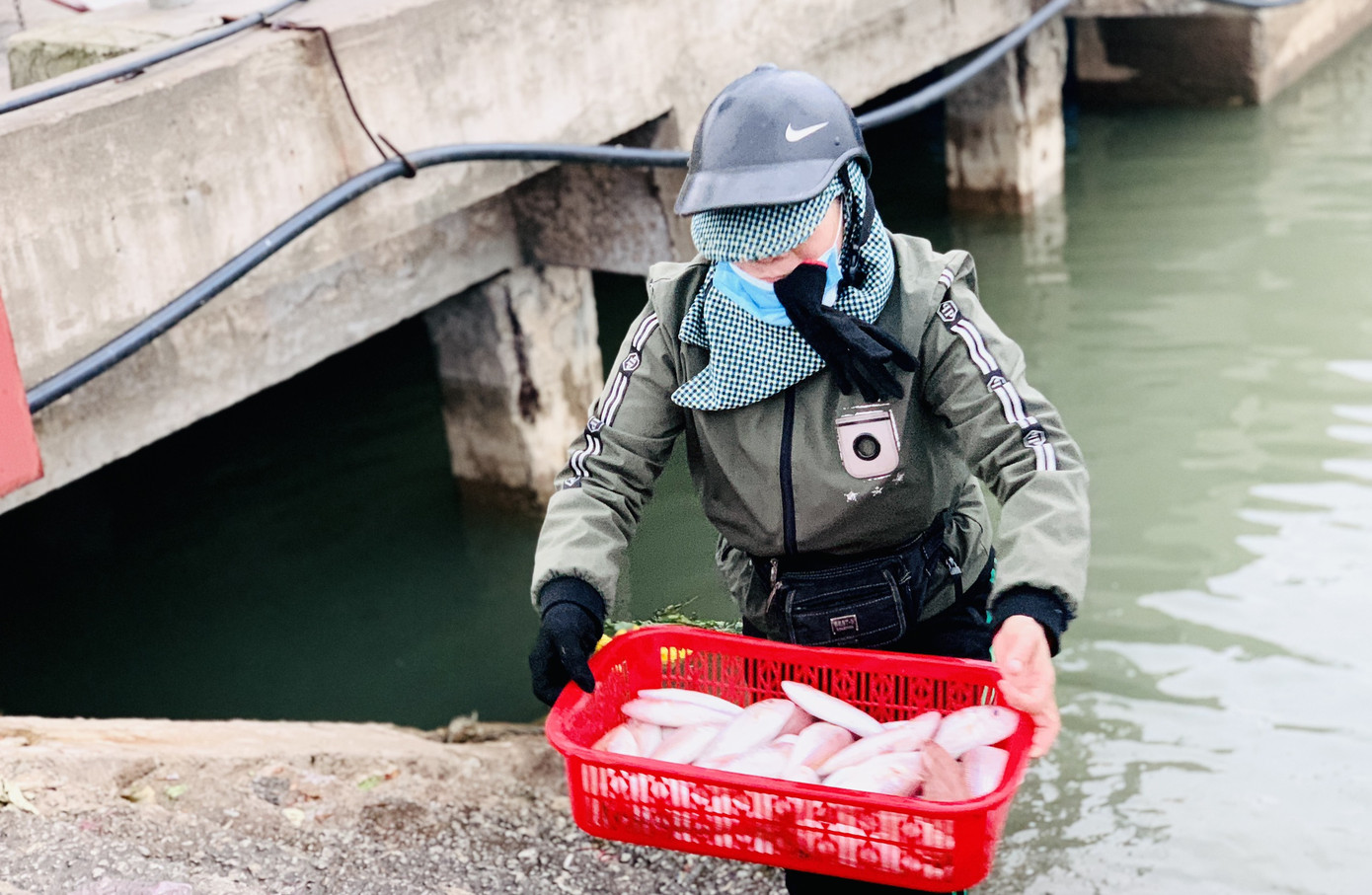 Ngư dân 'hốt bạc' nhờ lộc biển ngày cuối năm ảnh 13