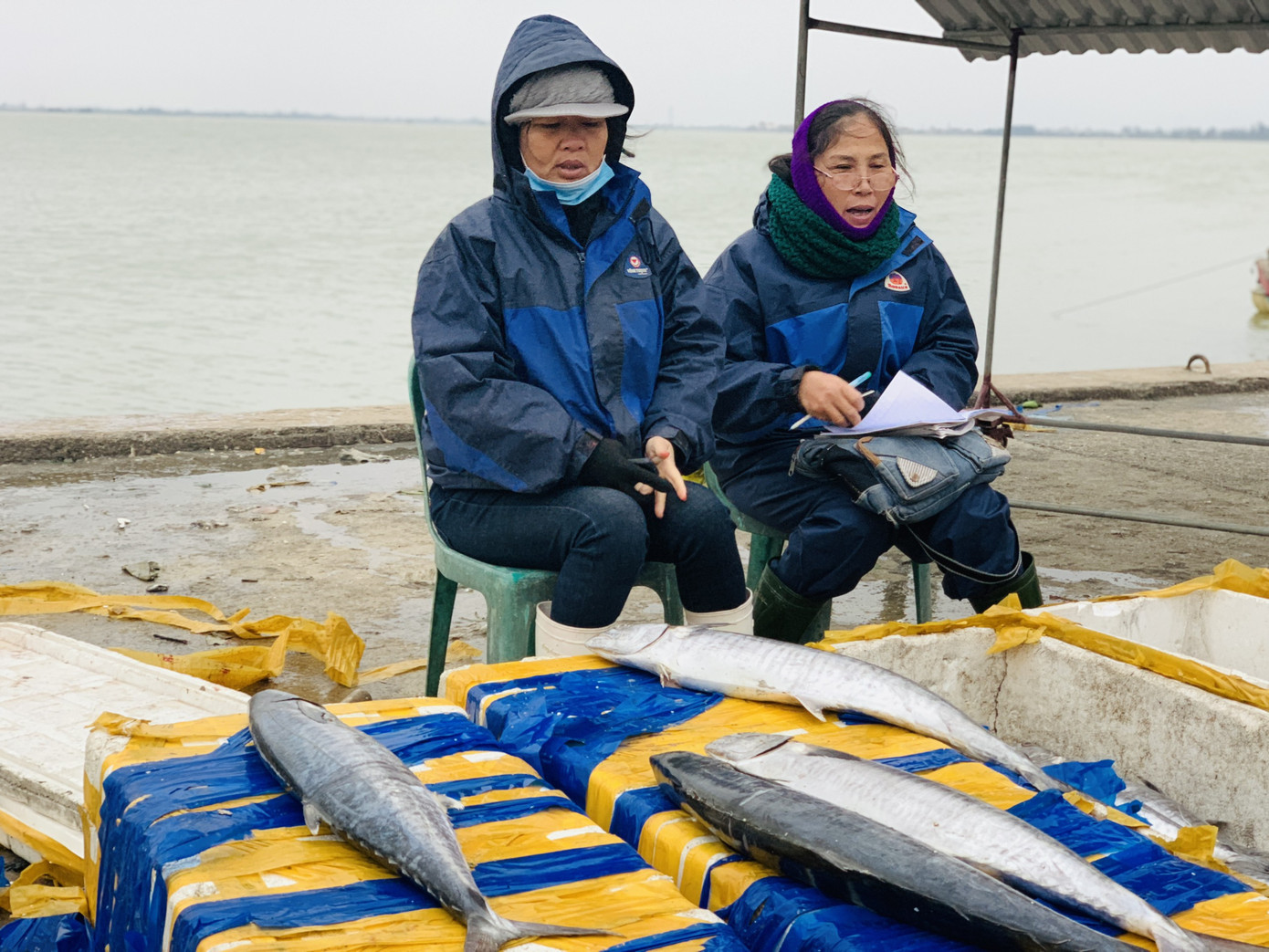 Ngư dân 'hốt bạc' nhờ lộc biển ngày cuối năm ảnh 11