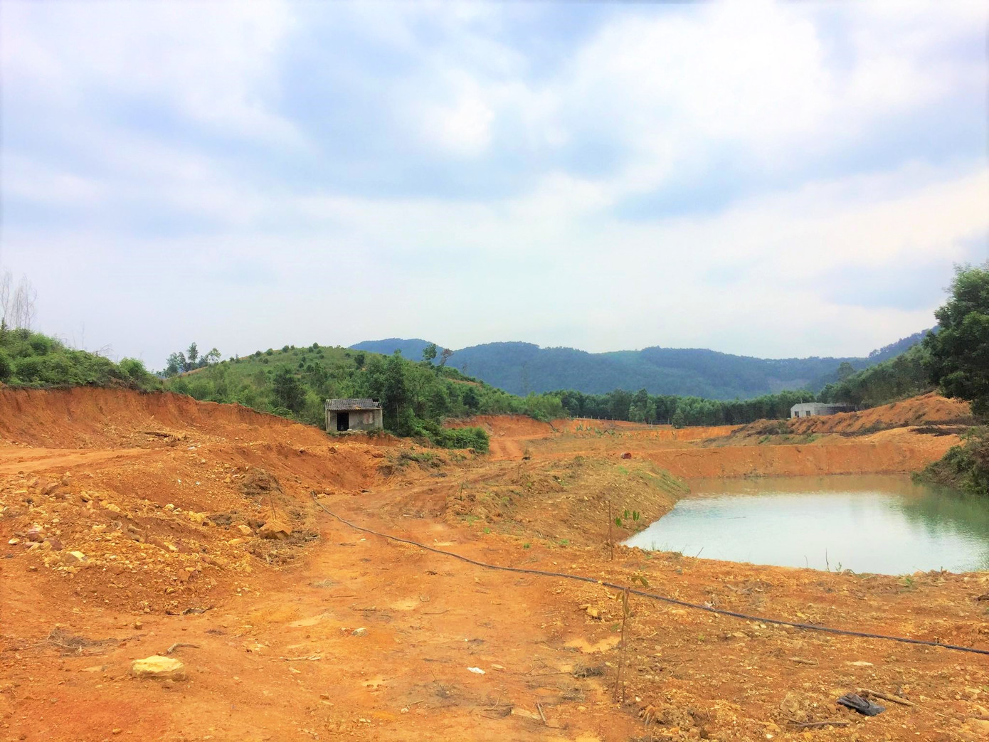 Xẻ đất rừng xây khu sinh thái 'chui': Chi cục Kiểm lâm Hà Tĩnh nói gì? ảnh 5