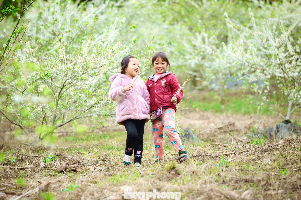 Thiếu nữ khoe sắc bên hoa mận nở trắng muốt nơi cổng trời đẹp như tranh ảnh 6