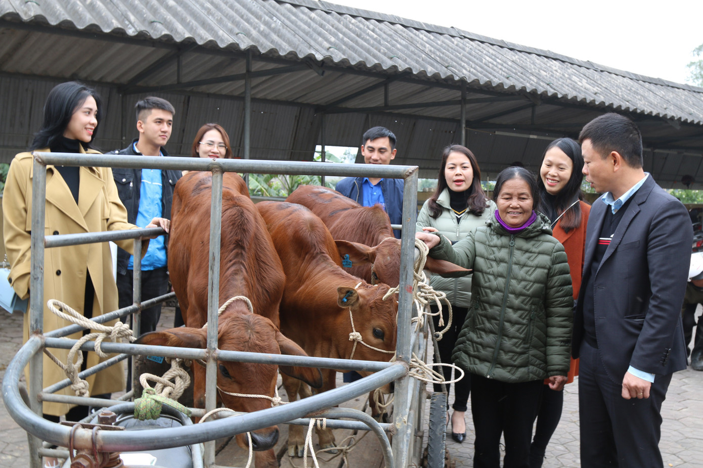 Tập đoàn Phúc Sơn, Báo Tiền Phong trao bò giống hỗ trợ bà con vùng lũ Hà Tĩnh ảnh 14