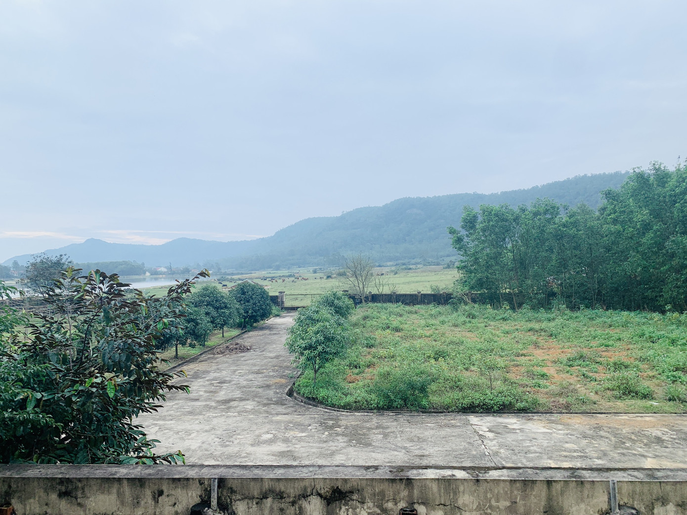 Trung tâm dạy nghề khuyết tật tiền tỷ bỏ hoang ảnh 13