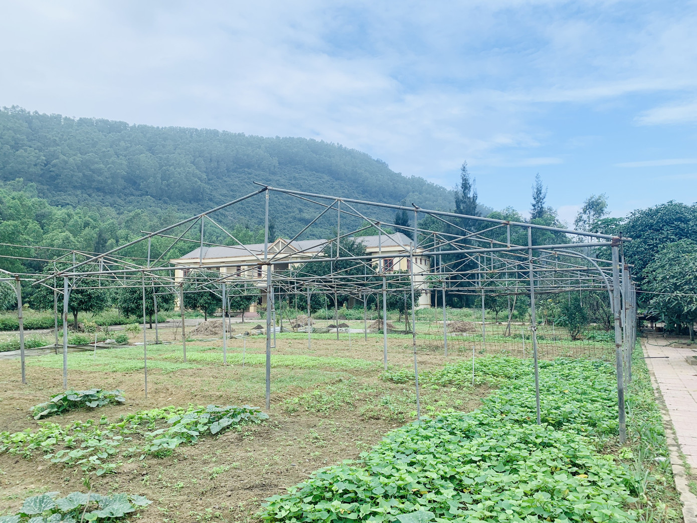 Trung tâm dạy nghề khuyết tật tiền tỷ bỏ hoang ảnh 14