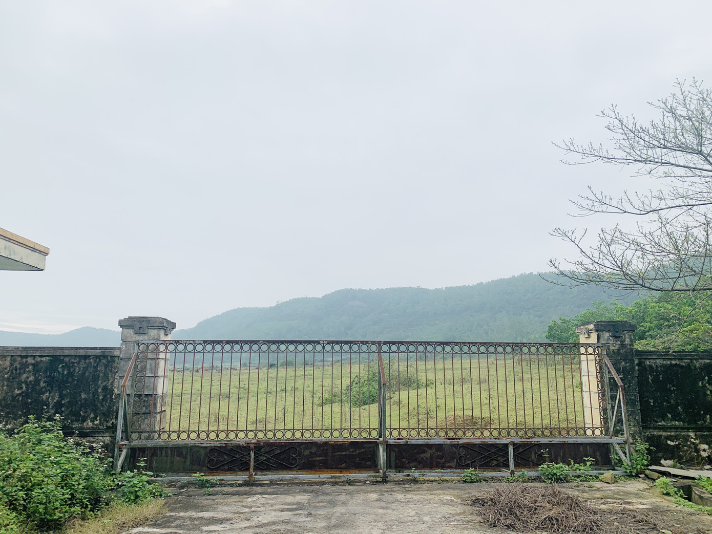 Trung tâm dạy nghề khuyết tật tiền tỷ bỏ hoang ảnh 8