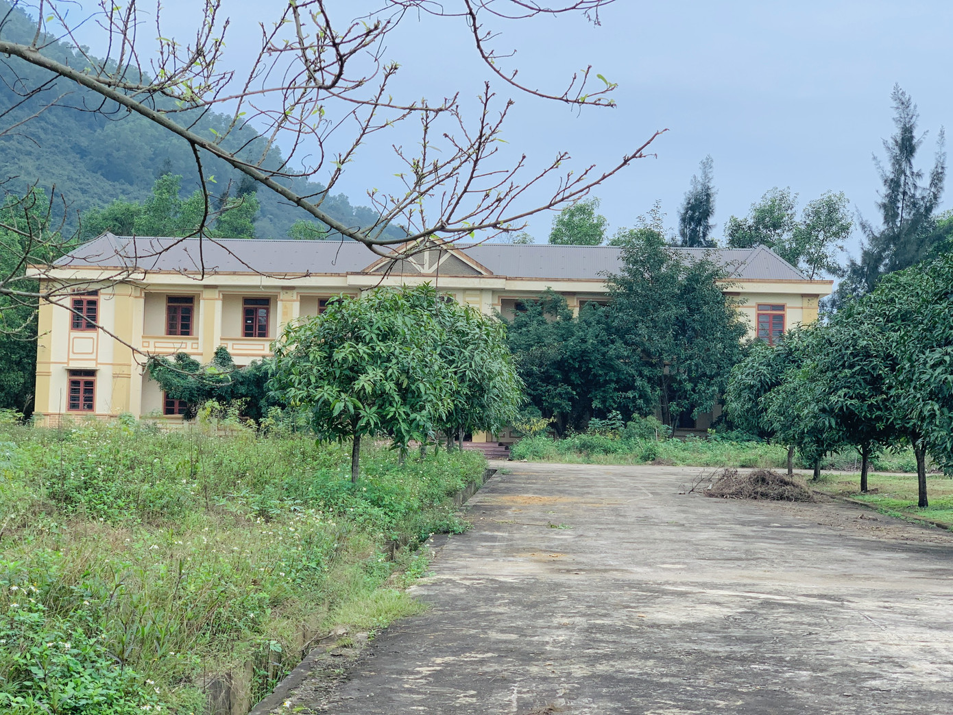 Trung tâm dạy nghề khuyết tật tiền tỷ bỏ hoang ảnh 1