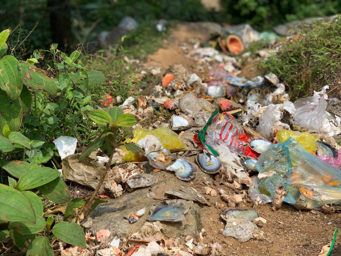 Xã phớt lờ lệnh cấm, để dân 'xẻ' đất lấn biển kinh doanh ảnh 7