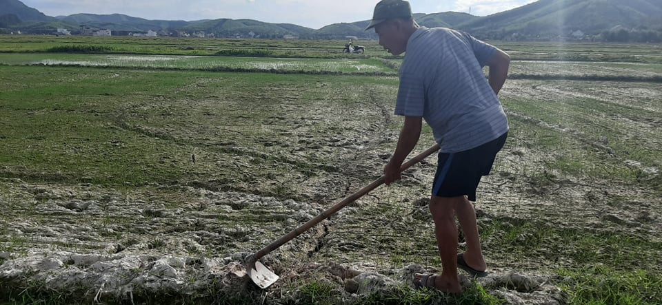 Hồ đập cạn khô, ruộng đồng nứt nẻ, dân quay cuồng trong nắng nóng miền Trung ảnh 17