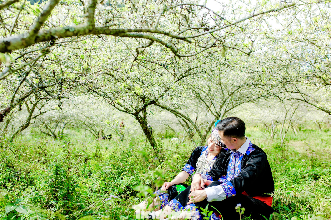 Thiếu nữ khoe sắc bên hoa mận nở trắng muốt nơi cổng trời đẹp như tranh ảnh 9