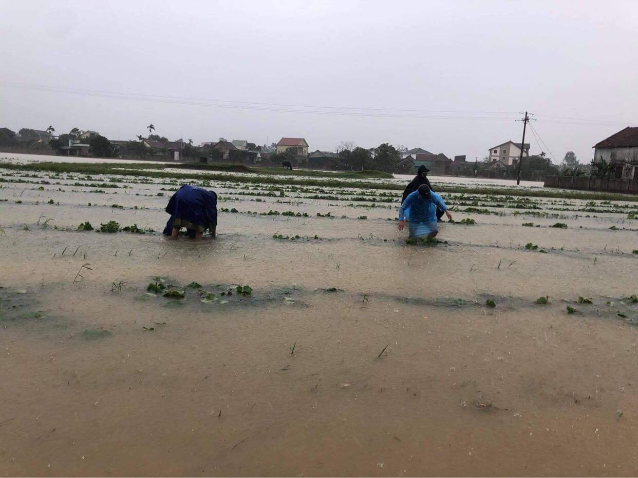 460 đội thanh niên tình nguyện đến từng nhà giúp dân chạy lũ ảnh 8