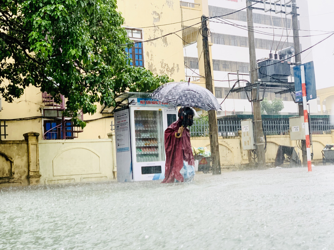 Mưa trắng trời, TP Hà Tĩnh chìm trong ngập lụt lịch sử chưa từng có ảnh 7