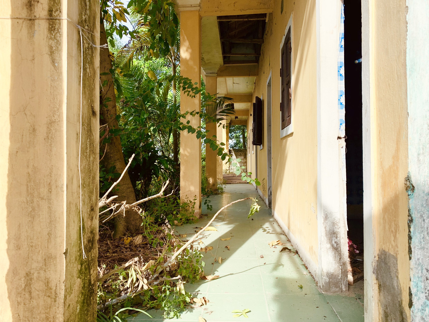 Cảnh hoang tàn ở khu du lịch biển Xuân Thành ảnh 9