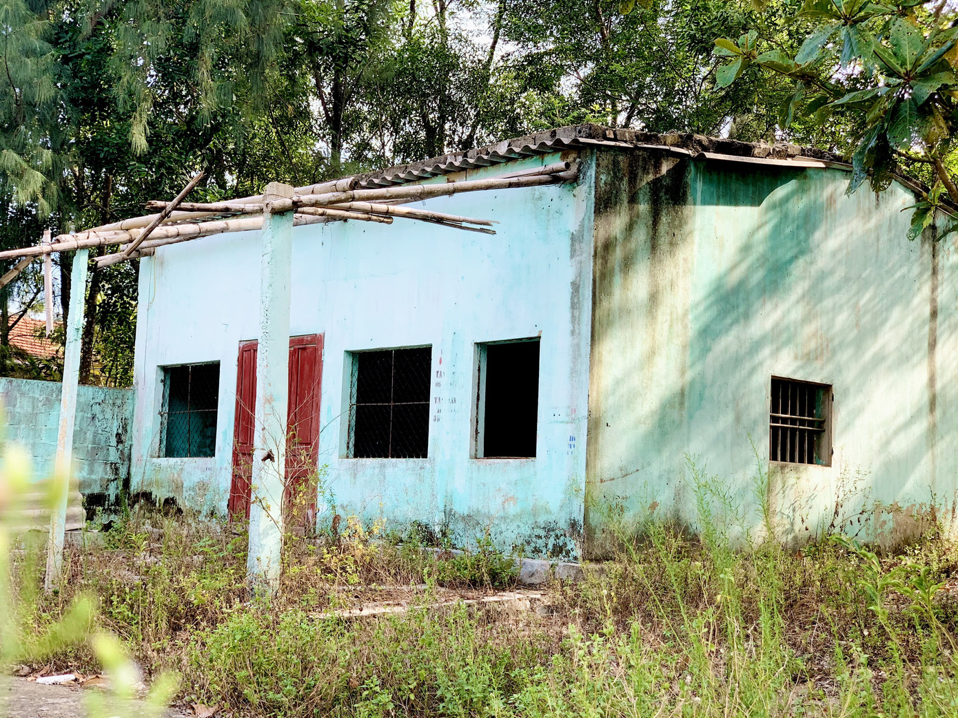 Cảnh hoang tàn ở khu du lịch biển Xuân Thành ảnh 11