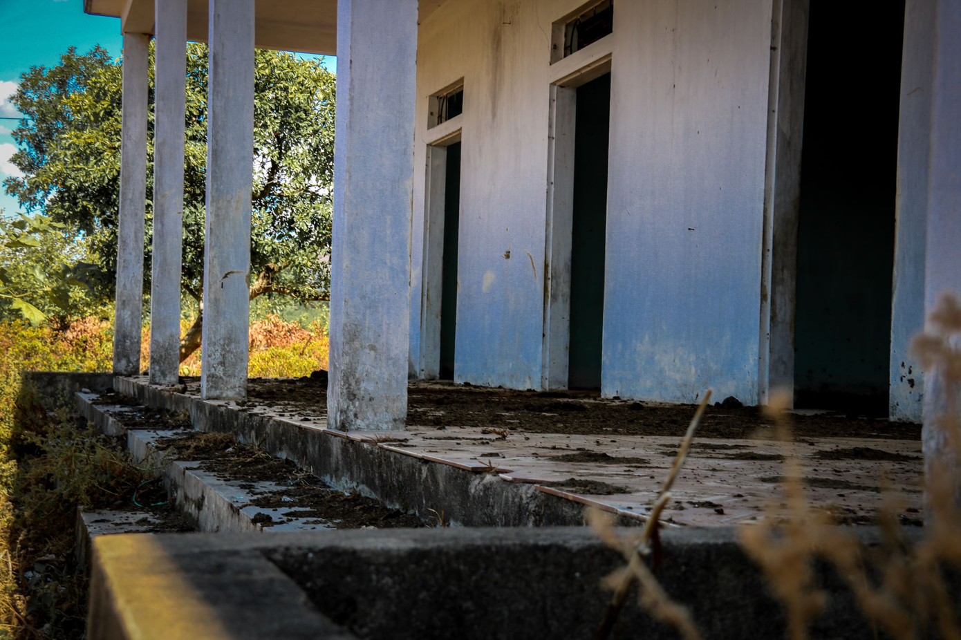 Cảnh hoang tàn tại trung tâm giống chăn nuôi đầu tư gần 20 tỷ đồng ảnh 6