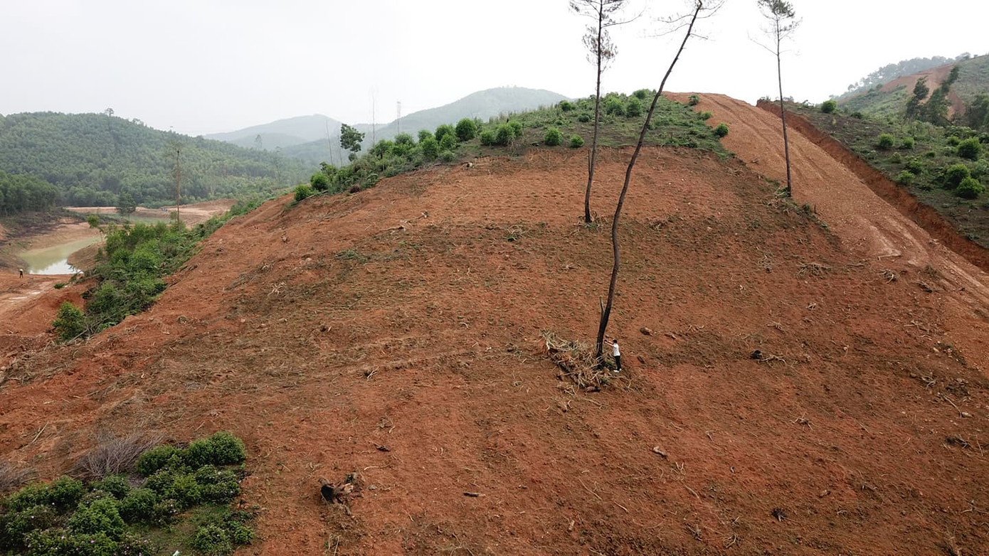 Xẻ đất rừng xây khu sinh thái 'chui': Chi cục Kiểm lâm Hà Tĩnh nói gì? ảnh 4