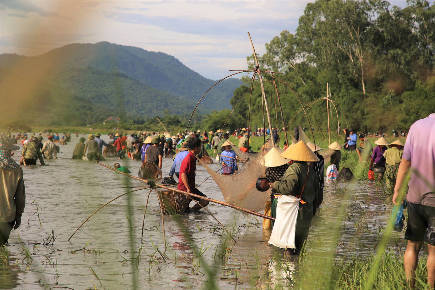 Sau tiếng hô lớn, hàng trăm người dân nhào xuống Đầm Vực bắt cá ảnh 10
