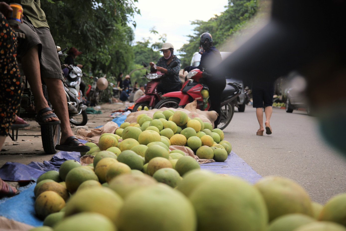 Bưởi đặc sản vào vụ, trăm người soi đèn thức trắng bán ở chợ đêm ảnh 2