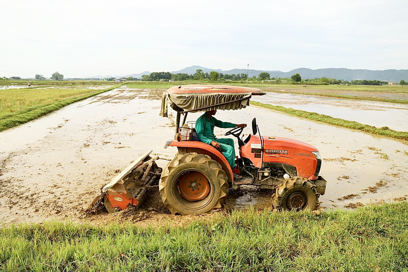 Hồ đập cạn khô, ruộng đồng nứt nẻ, dân quay cuồng trong nắng nóng miền Trung ảnh 7