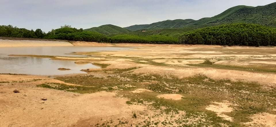 Hồ đập cạn khô, ruộng đồng nứt nẻ, dân quay cuồng trong nắng nóng miền Trung ảnh 15