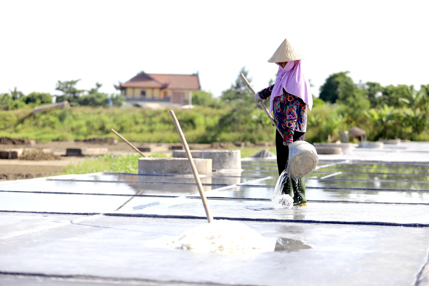 Hồ đập cạn khô, ruộng đồng nứt nẻ, dân quay cuồng trong nắng nóng miền Trung ảnh 11