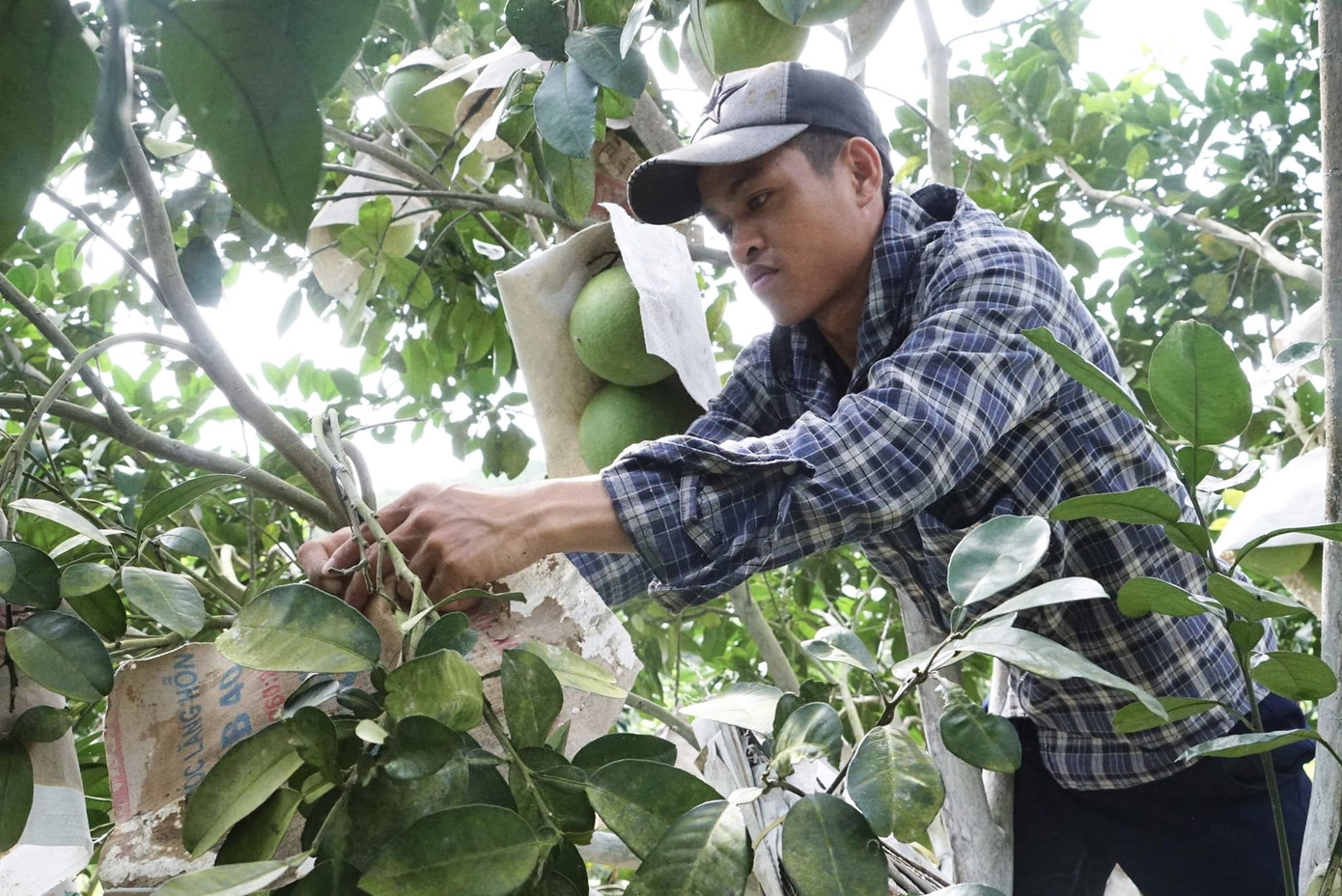 Hồ đập cạn khô, ruộng đồng nứt nẻ, dân quay cuồng trong nắng nóng miền Trung ảnh 1