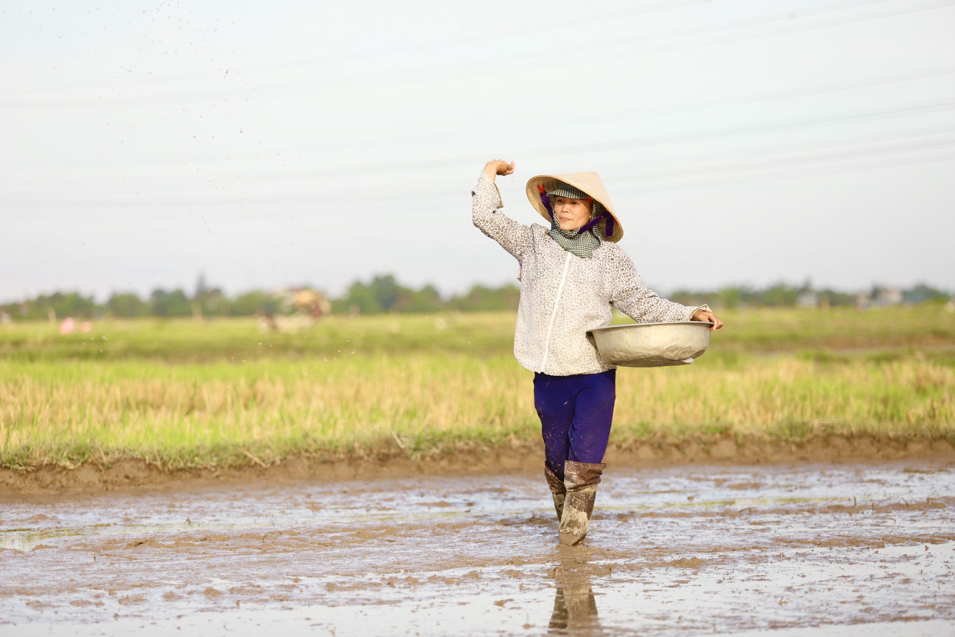 Hồ đập cạn khô, ruộng đồng nứt nẻ, dân quay cuồng trong nắng nóng miền Trung ảnh 8