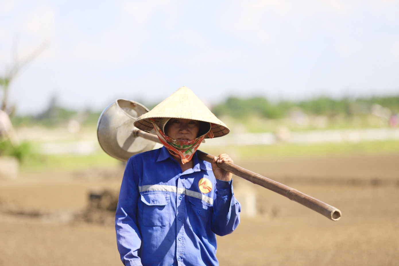 Hồ đập cạn khô, ruộng đồng nứt nẻ, dân quay cuồng trong nắng nóng miền Trung ảnh 9