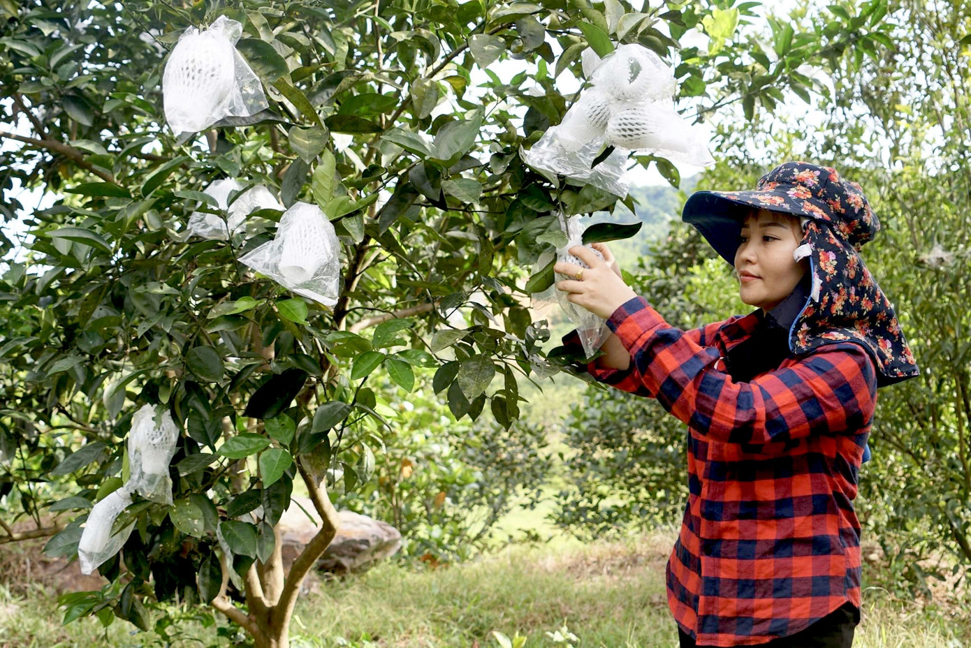 Hồ đập cạn khô, ruộng đồng nứt nẻ, dân quay cuồng trong nắng nóng miền Trung ảnh 2