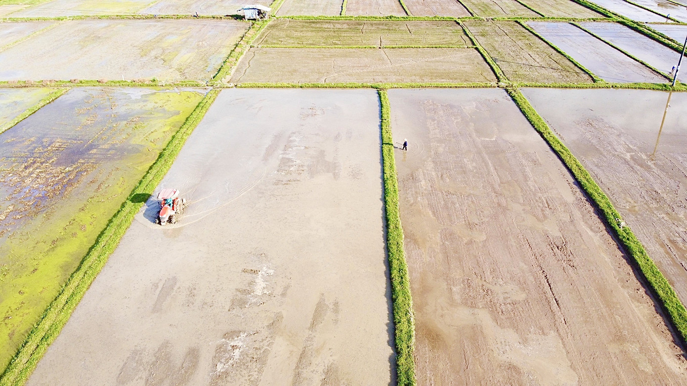 Hồ đập cạn khô, ruộng đồng nứt nẻ, dân quay cuồng trong nắng nóng miền Trung ảnh 6