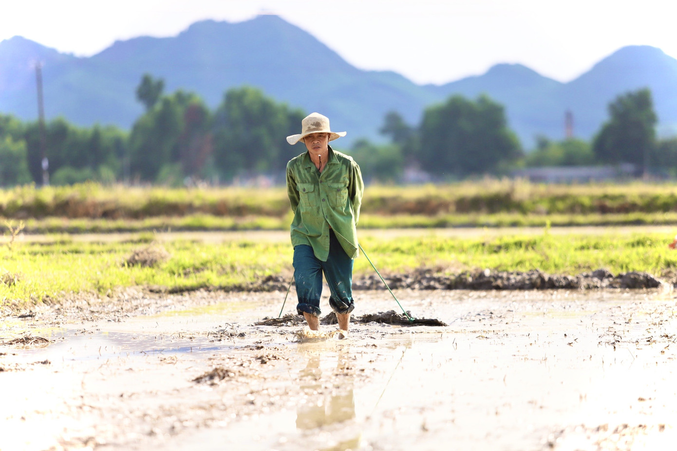 Hồ đập cạn khô, ruộng đồng nứt nẻ, dân quay cuồng trong nắng nóng miền Trung ảnh 5