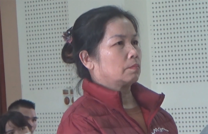 Bà lừa bán cháu họ sang Trung Quốc lấy 5 triệu đồng ảnh 1