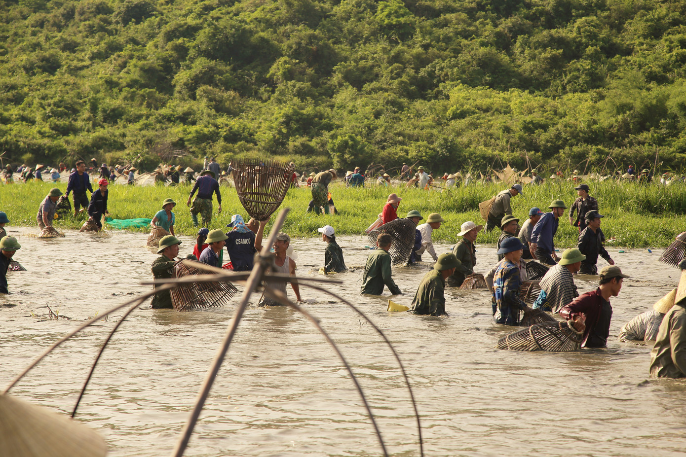 Sau tiếng hô lớn, hàng trăm người dân nhào xuống Đầm Vực bắt cá ảnh 19