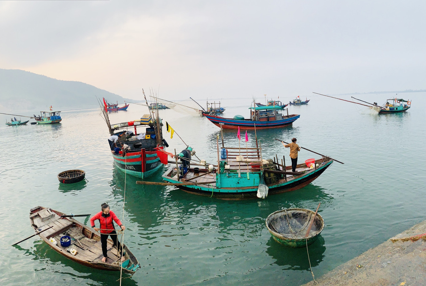 Vươn khơi đầu năm, ngư dân phấn khởi trúng đậm tôm, cá ảnh 3